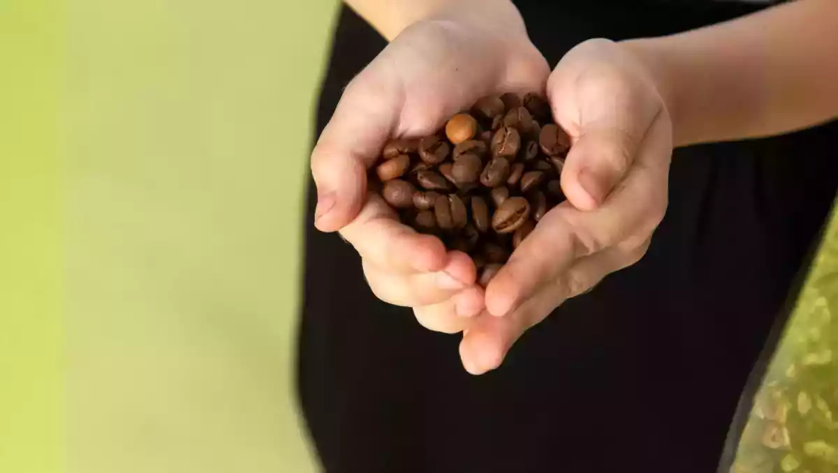 2. Kaffe