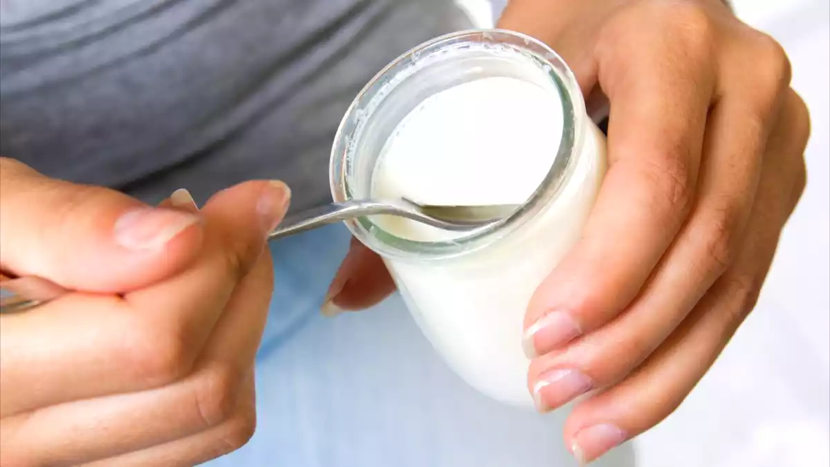 Yoghurt som livseliksir: de kaukasiske folks tusind år gamle hemmelighed