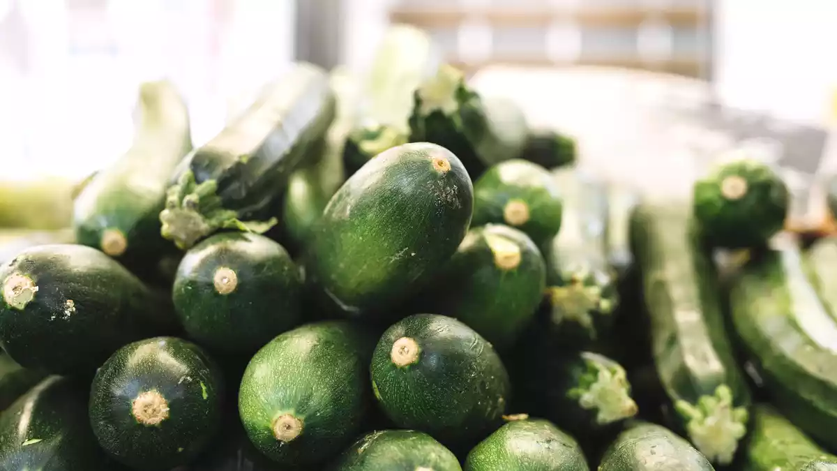 Bittere courgetter? Find nu 5 sikre tricks til at gøre din ret perfekt!