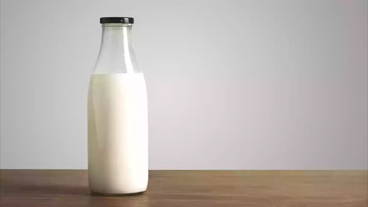 Derfor skal du ikke længere opbevare din mælk i køleskabsdøren