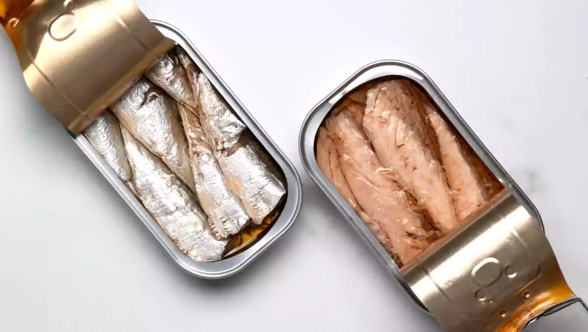 Sardiner på dåse vender tilbage: Hvorfor denne lille fisk har alt at byde på