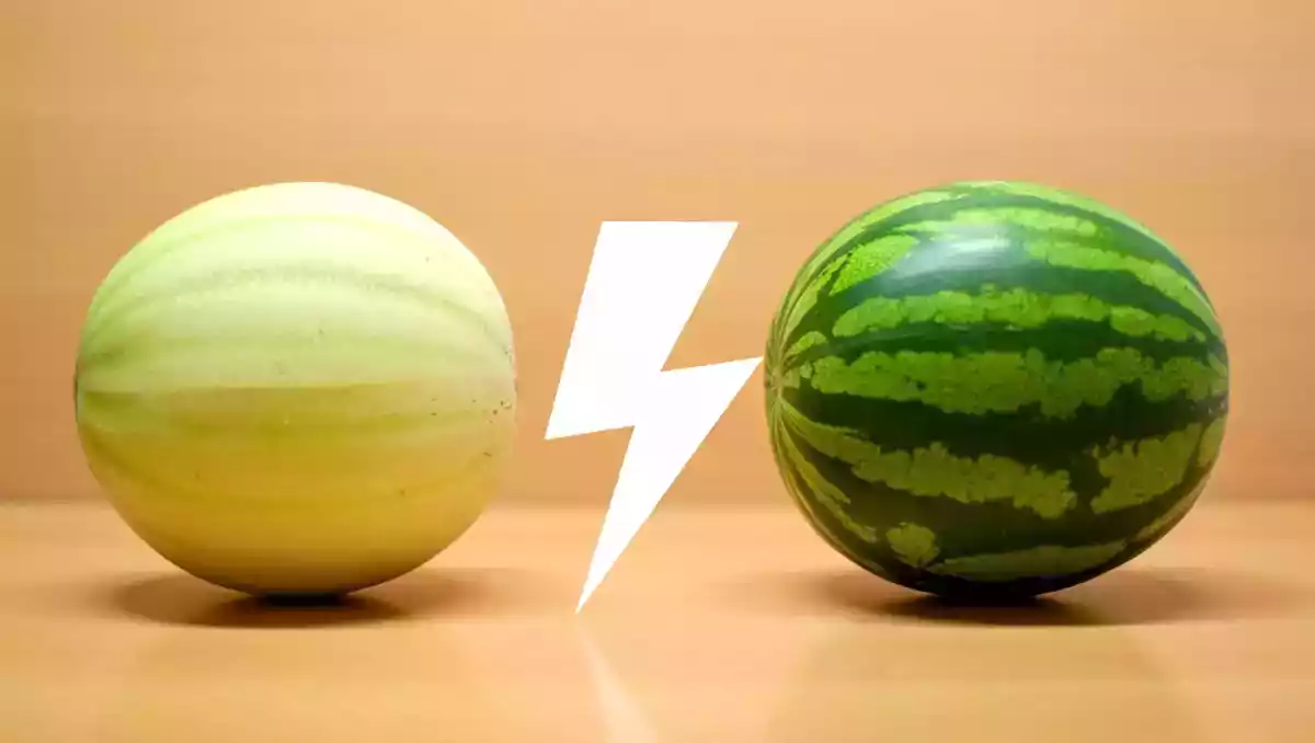 Melon vs. vandmelon: hvad fugter bedst?