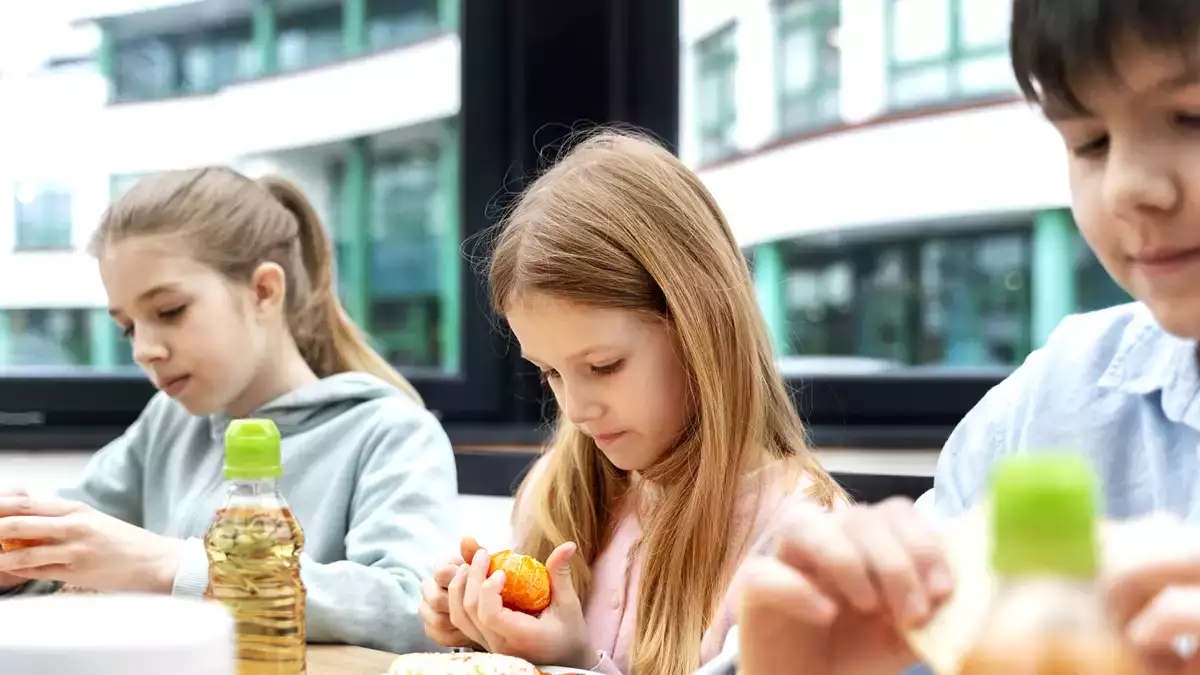 Den mest populære fisk på skolemenuerne, forbudt i Frankrig på grund af sin toksicitet