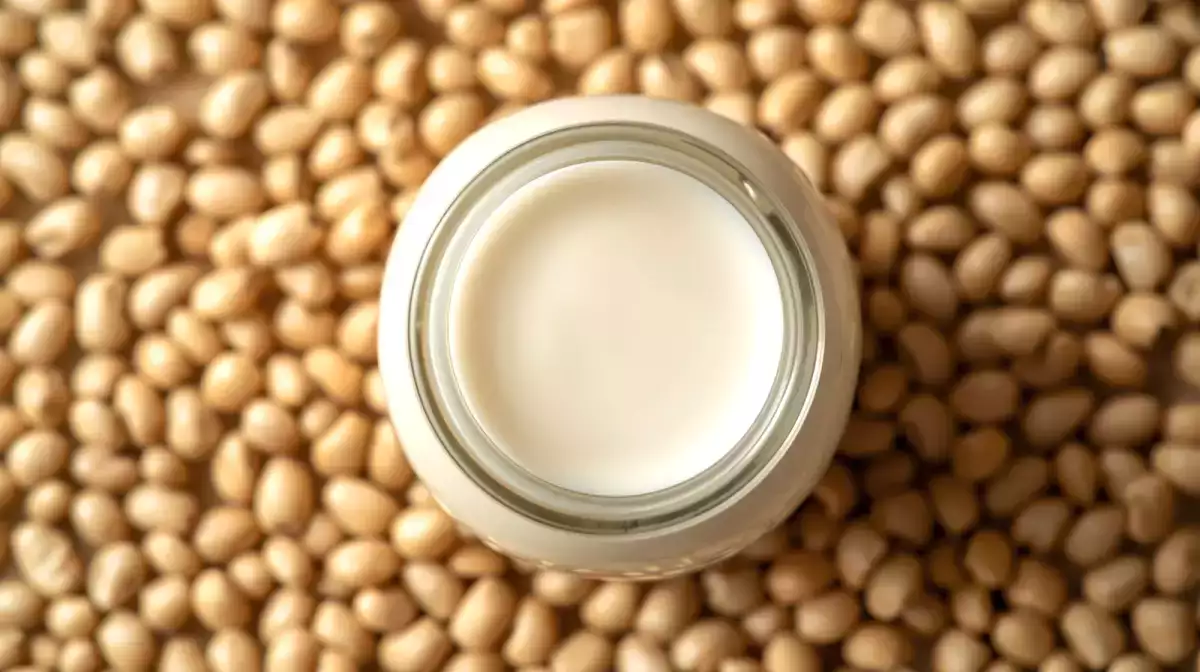 Hvilken plantemælk er sundest? Lad os finde ud af det!