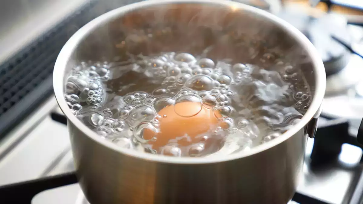 Hvad er den rigtige måde at koge et æg på: koldt vand, kogende vand eller en varm gryde?