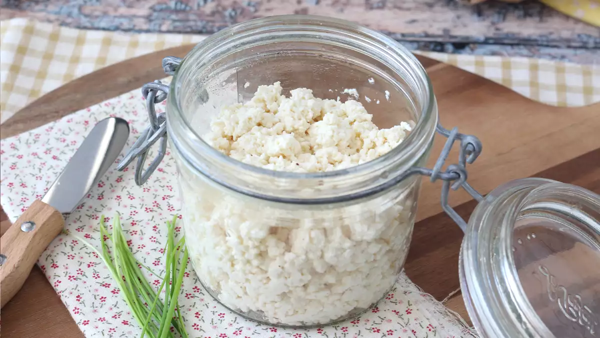 Hvordan laver man hjemmelavet cottage cheese? Den superbillige opskrift med kun 2 ingredienser!