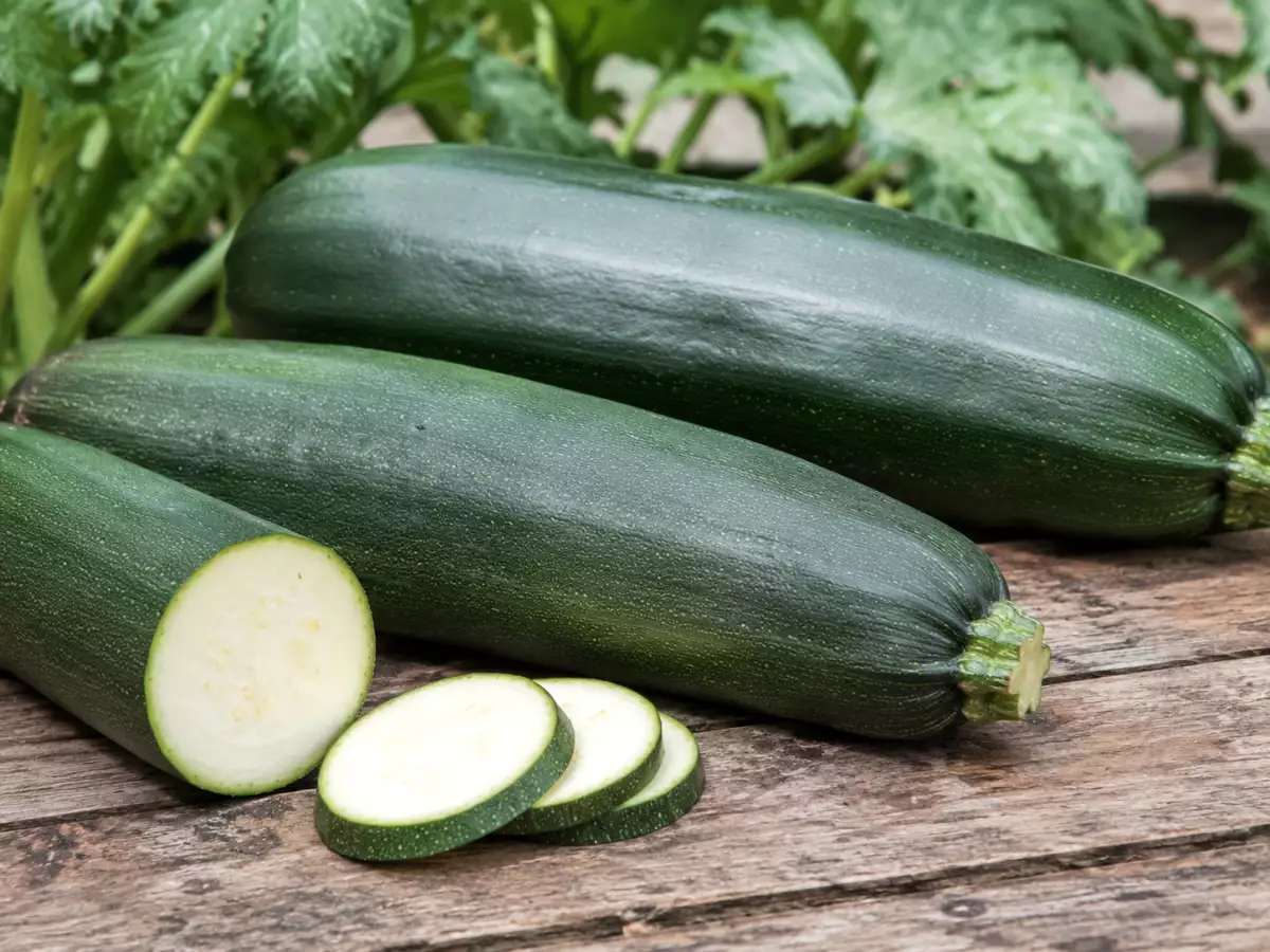 For store courgetter: kan man stadig spise dem?