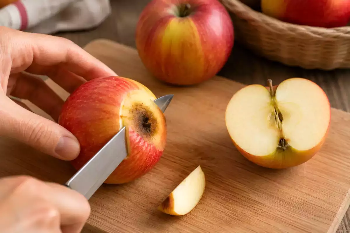 Kan man spise en muggen frugt, når man har skåret den beskadigede del væk?