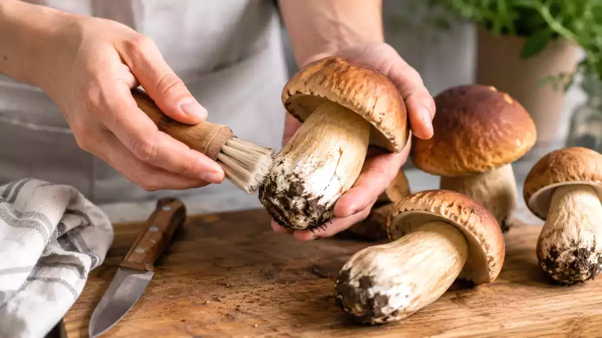 Har du lige renset de friske porcini-svampe? Den enkle handling, du absolut skal undgå, før du tilbereder dem