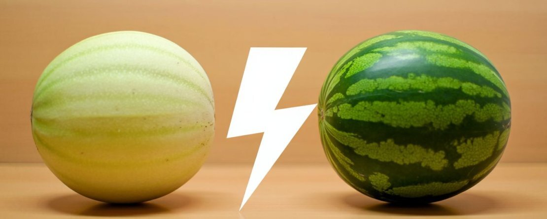 Melon vs. vandmelon: hvad fugter bedst?