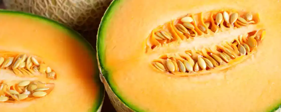 Melon: vores hemmeligheder til at vælge den, opbevare den korrekt og 3 ultrafriske opskriftsideer til sommeren