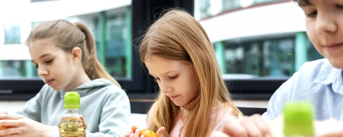 Den mest populære fisk på skolemenuerne, forbudt i Frankrig på grund af sin toksicitet