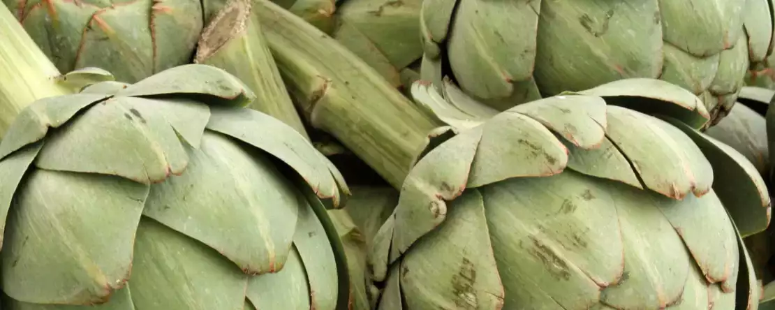 Sådan tilbereder du artiskokker i mikrobølgeovnen hurtigt og sikkert