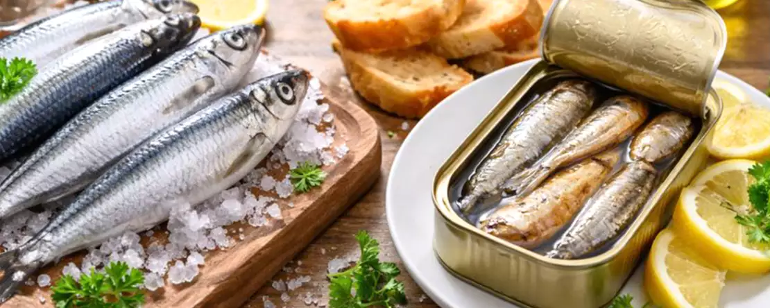 Friske sardiner og sardiner på dåse: Alt, hvad du skal vide, før du beslutter dig for, hvad der skal på dit bord