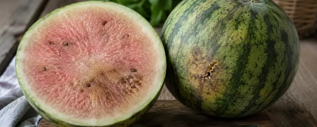 Hvordan kan man se, om en vandmelon ikke er god? Her er vores bedste råd!