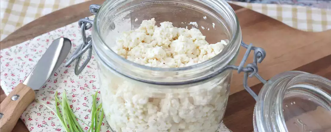 Hvordan laver man hjemmelavet cottage cheese? Den superbillige opskrift med kun 2 ingredienser!