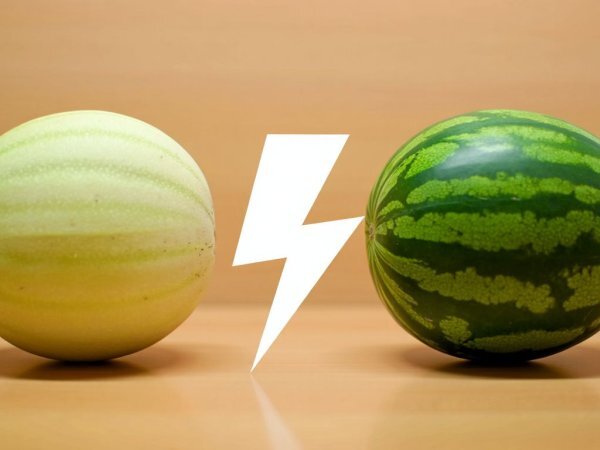 Melon vs. vandmelon: hvad fugter bedst?