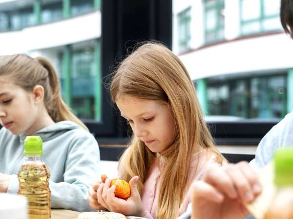 Den mest populære fisk på skolemenuerne, forbudt i Frankrig på grund af sin toksicitet