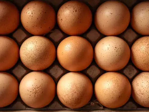 Protein, kolesterol, energi ... hvad sker der, hvis du spiser æg hver dag?