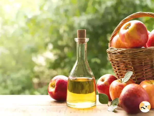 Mirakelingrediensen til vægttab!