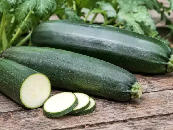 For store courgetter: kan man stadig spise dem?