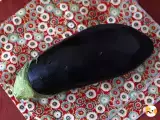 Artikler: Vores 10 bedste aubergineopskrifter: grillet, ristet, kaviar, hvordan gør man den sublim denne sommer?