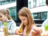 Artikler: Den mest populære fisk på skolemenuerne, forbudt i Frankrig på grund af sin toksicitet