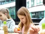 Artikler: Den mest populære fisk på skolemenuerne, forbudt i Frankrig på grund af sin toksicitet