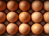 Artikler: Protein, kolesterol, energi ... hvad sker der, hvis du spiser æg hver dag?