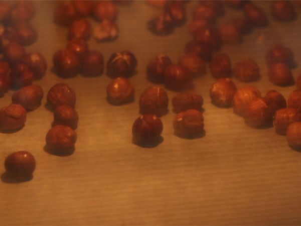 Slikkepinde med varm chokolade: mørk chokolade + ristede hasselnødder - Forberedelse trin 1
