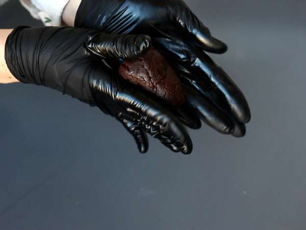 Forvandl din brownie til en chokoladepinecone! - Forberedelse trin 5