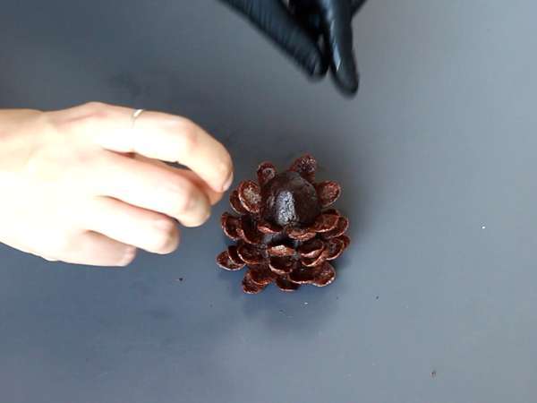 Forvandl din brownie til en chokoladepinecone! - Forberedelse trin 6