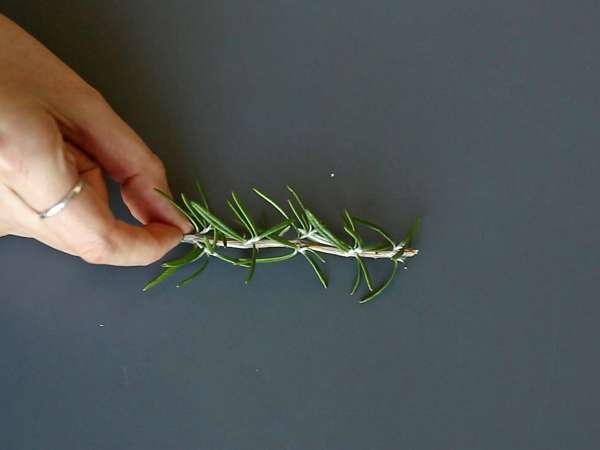 Cocktail med et snedækket grantræ indeni - Forberedelse trin 1
