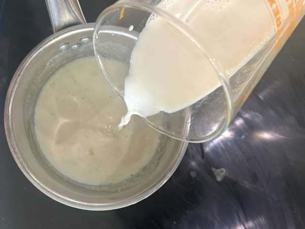 Palak tofu: indisk karryret med spinat og tofu - Forberedelse trin 2