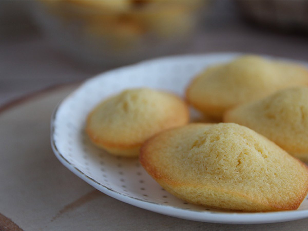Almindelige madeleines - foto 4