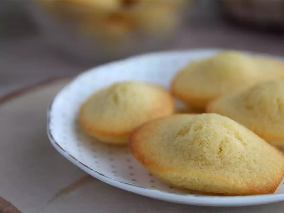 Almindelige madeleines - foto 4