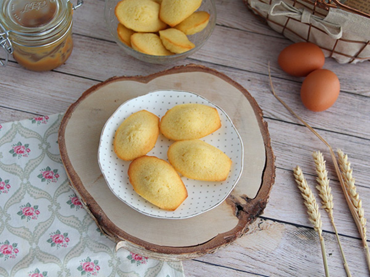 Almindelige madeleines - foto 5