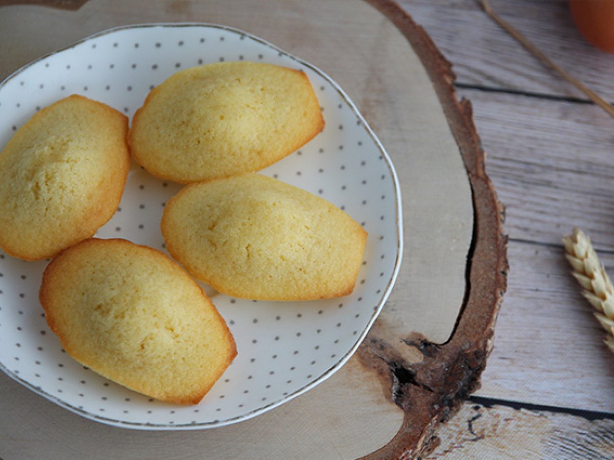 Almindelige madeleines - foto 6