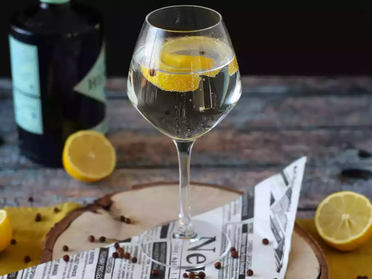 Gin og tonic, den uundværlige aperitif-cocktail! - foto 3