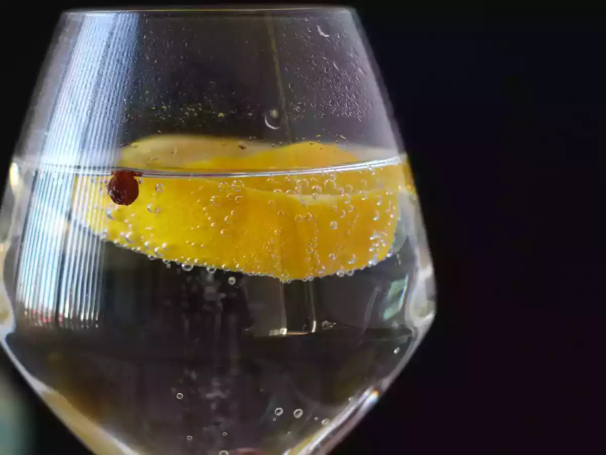 Gin og tonic, den uundværlige aperitif-cocktail! - foto 5