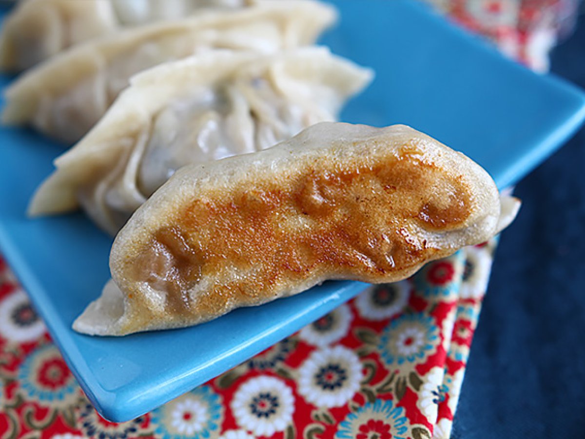 Gyozas med kylling, gulerødder og svampe - foto 8