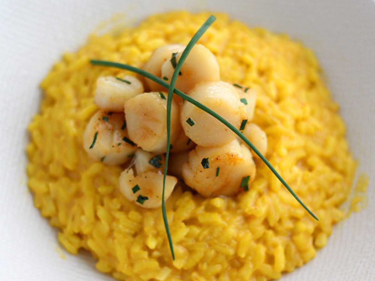 Risotto af kammuslinger med safran