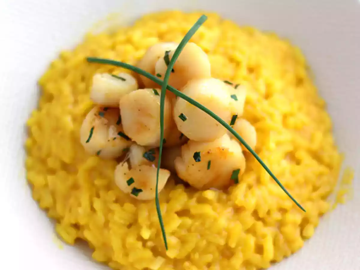 Risotto af kammuslinger med safran
