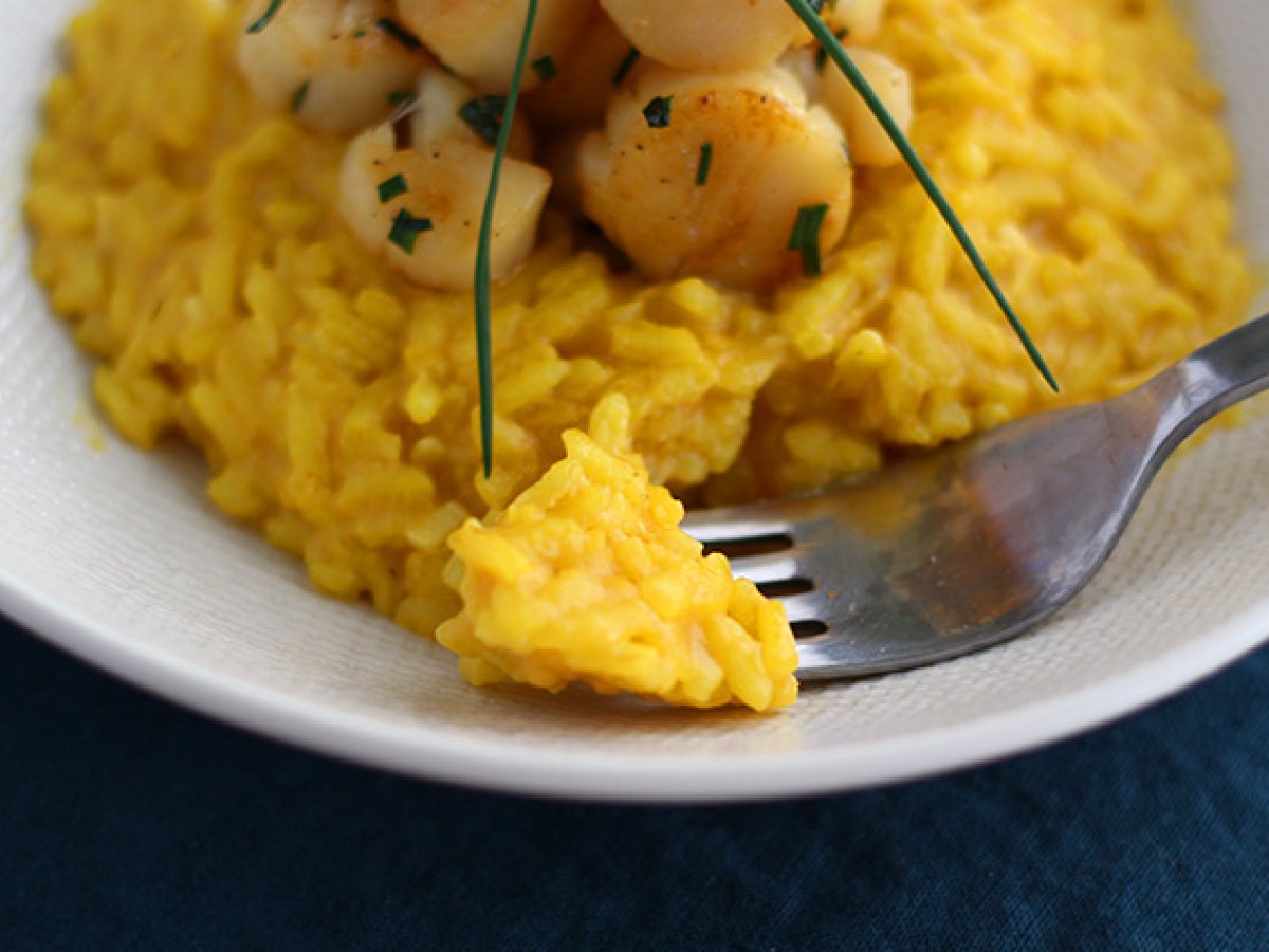 Risotto af kammuslinger med safran - foto 4
