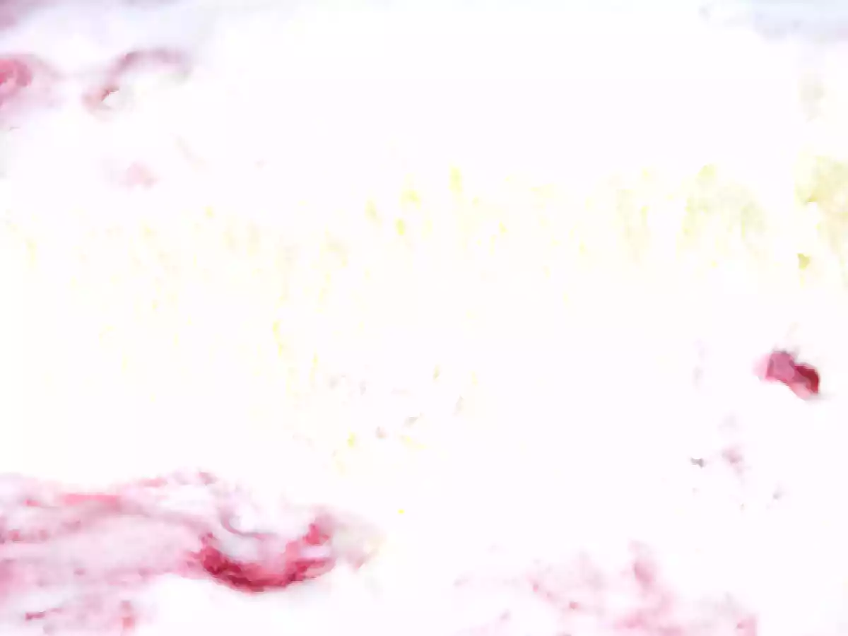 Yoghurt og hindbæris - foto 3